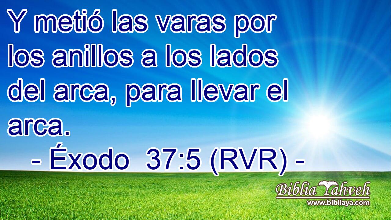 Éxodo 37 5 RVR Y metió las varas por los anillos a los lado