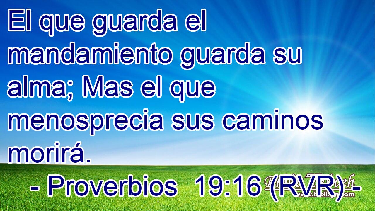 Proverbios 19 16 Rvr El Que Guarda El Mandamiento Guarda Su A