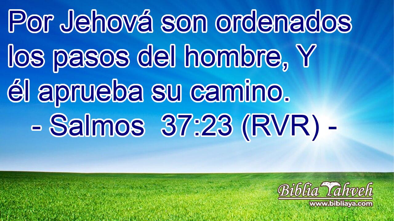 Salmos 37 23 RVR Por Jehová son ordenados los pasos del homb