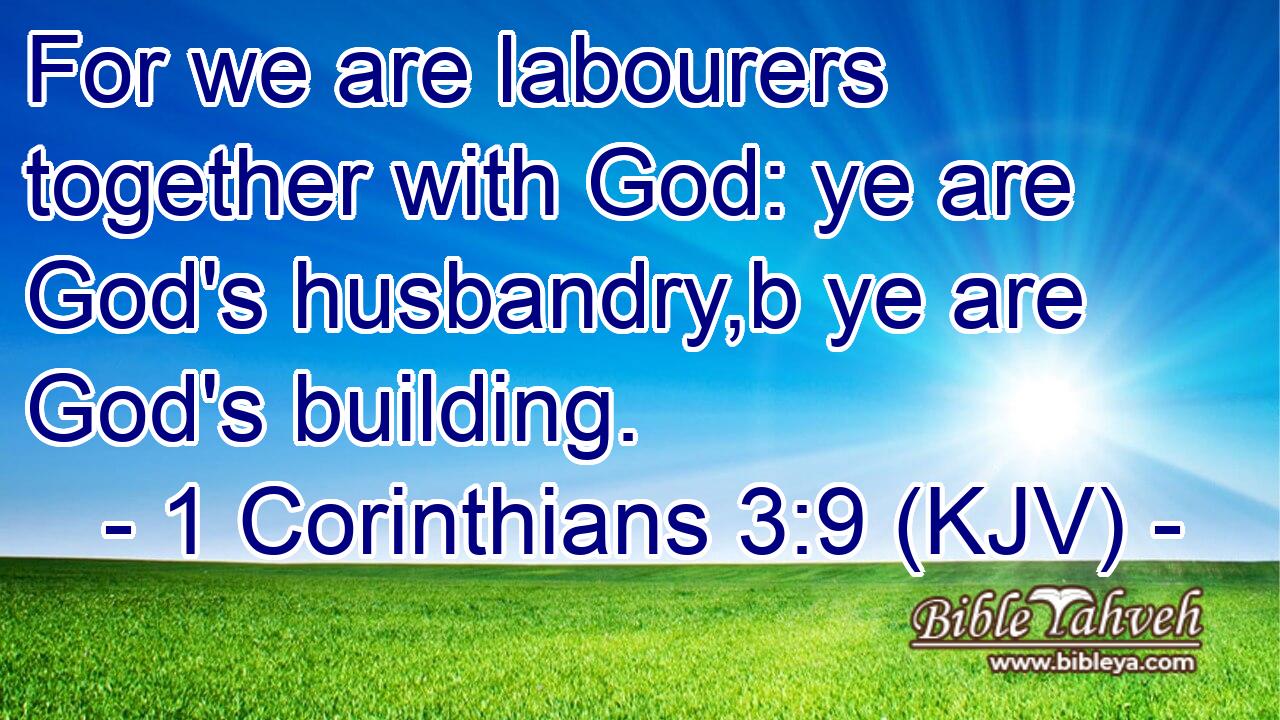 1 Corinthians 3:9 (Kjv) - For We Are Labourers Together With God: Y...