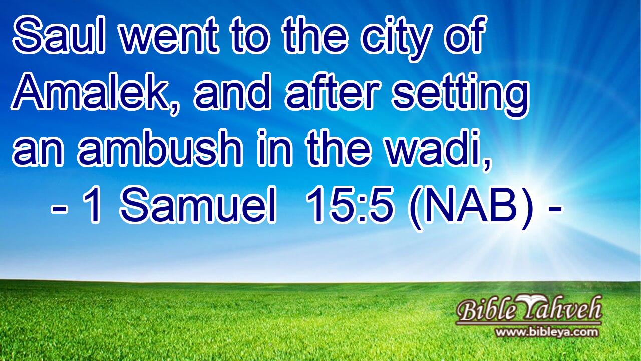  Saul went to the city of Amalek, and after setting an ambush in the wadi,