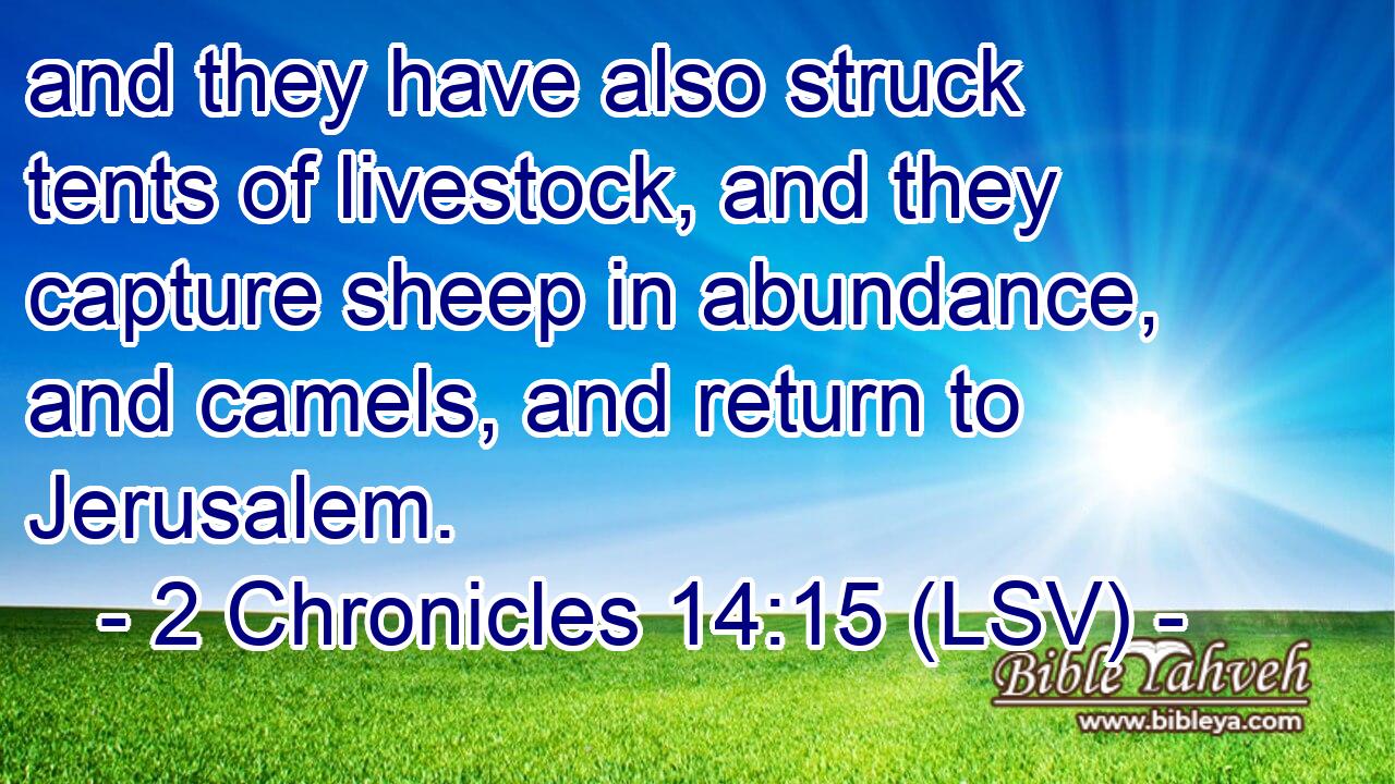 and they have also struck tents of livestock, and they capture sheep in abundance, and camels, and return to Jerusalem.