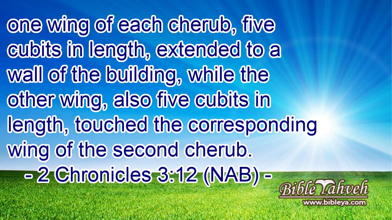  one wing of each cherub, five cubits in length, extended to a wall of the building, while the other wing, also five cubits in length, touched the corresponding wing of the second cherub.