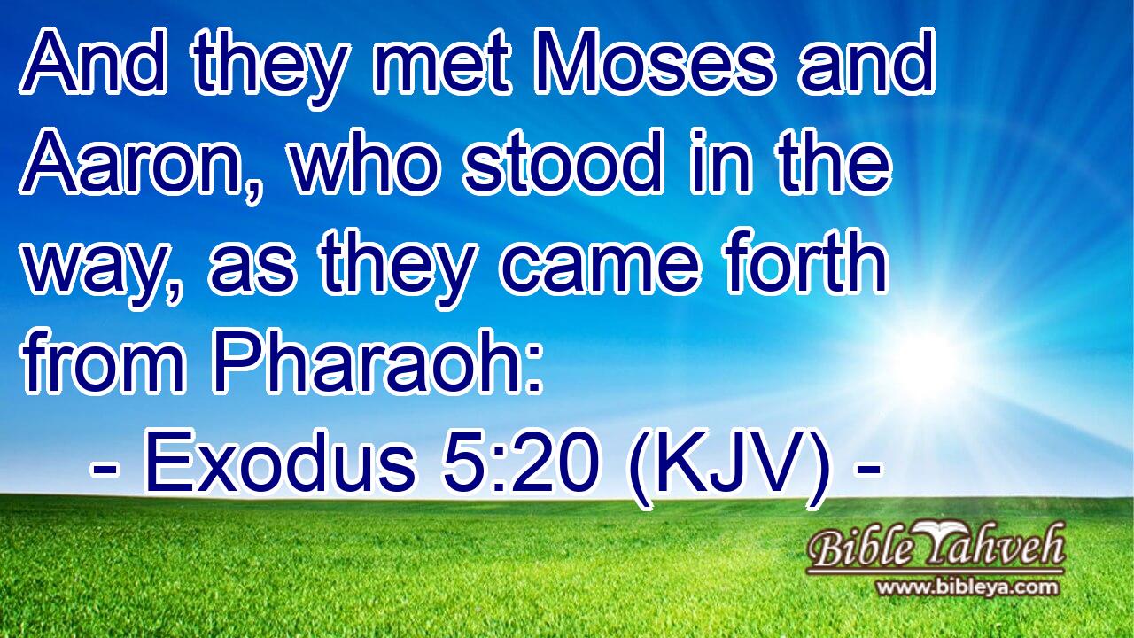 And they met Moses and Aaron, who stood in the way, as they came forth from Pharaoh: