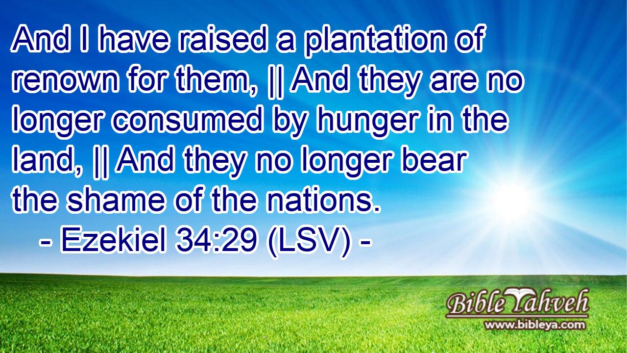 And I have raised a plantation of renown for them, || And they are no longer consumed by hunger in the land, || And they no longer bear the shame of the nations.