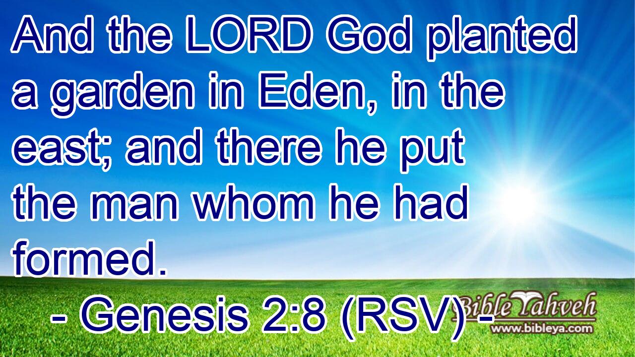 Genesis 2:8 (Rsv) - And The Lord God Planted A Garden In Eden, In T...