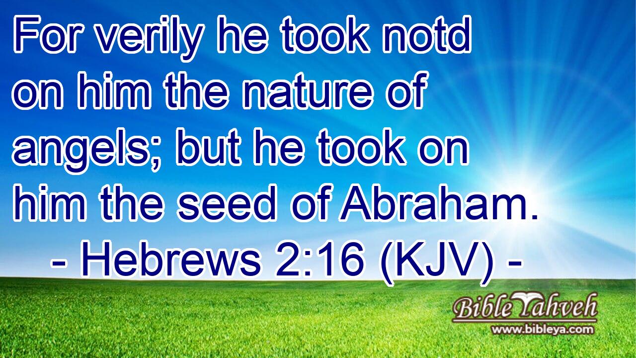 bryder ud Leeds Narabar Hebrews 2:16 (kjv) - For verily he took notd on him the nature of a...