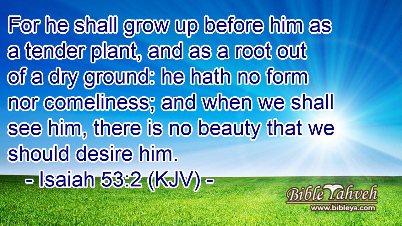 Isaiah 53:2 (Kjv) - For He Shall Grow Up Before Him As A Tender Pla...