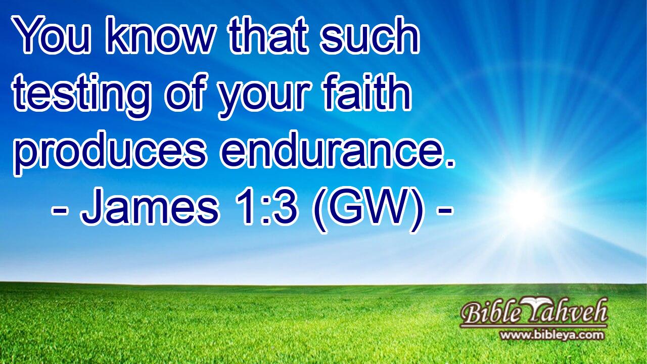  You know that such testing of your faith produces endurance.