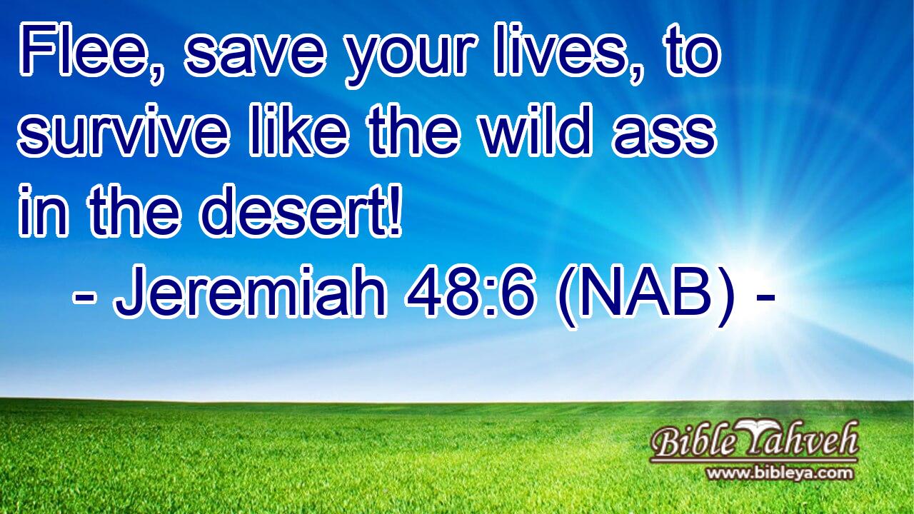  Flee, save your lives, to survive like the wild ass in the desert!