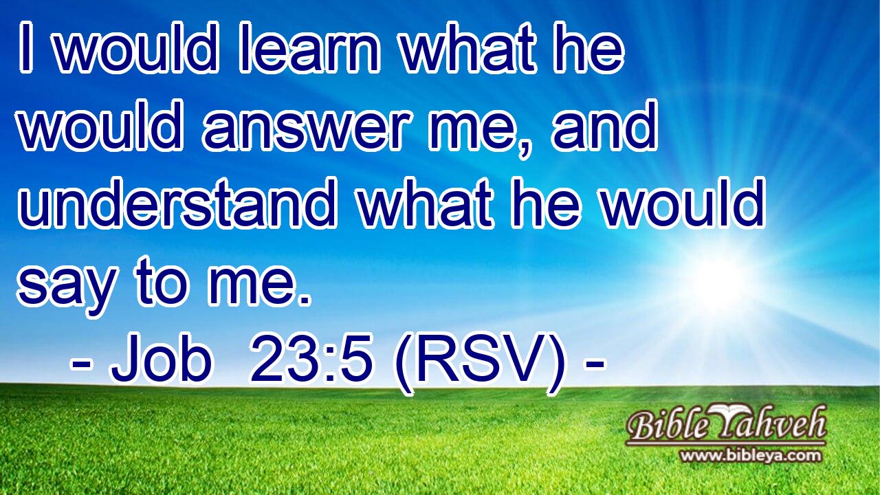 I would learn what he would answer me, and understand what he would say to me.