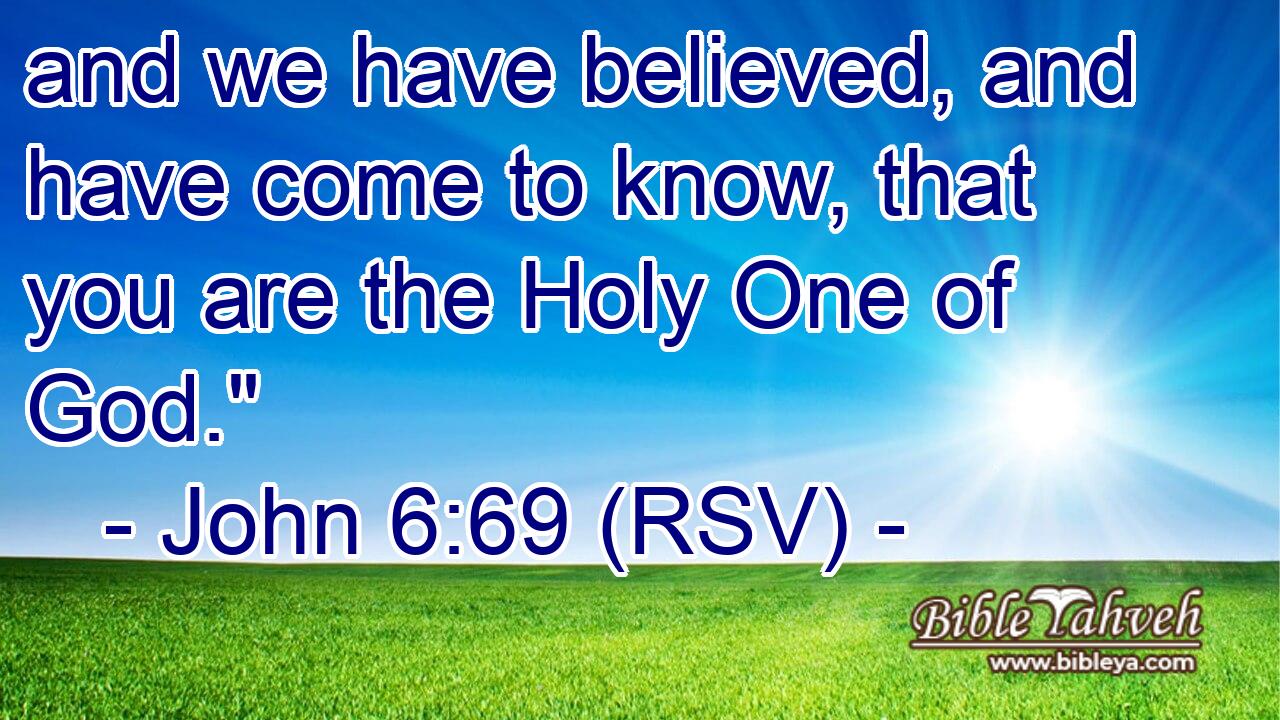 and we have believed, and have come to know, that you are the Holy One of God.