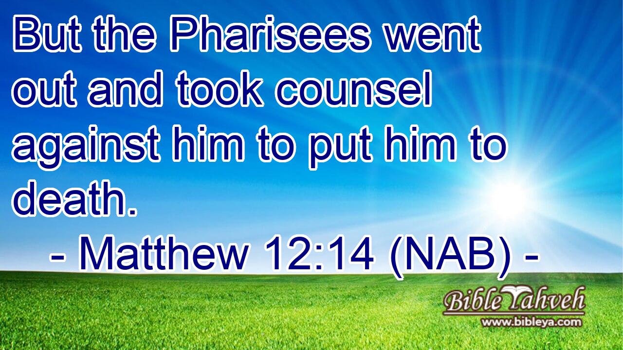  But the Pharisees went out and took counsel against him to put him to death.