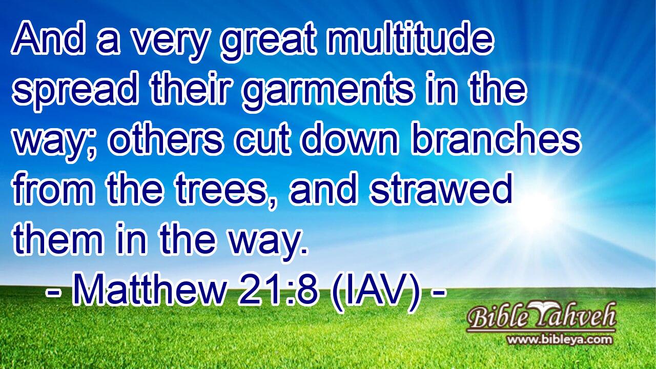  And a very great multitude spread their garments in the way; others cut down branches from the trees, and strawed them in the way.