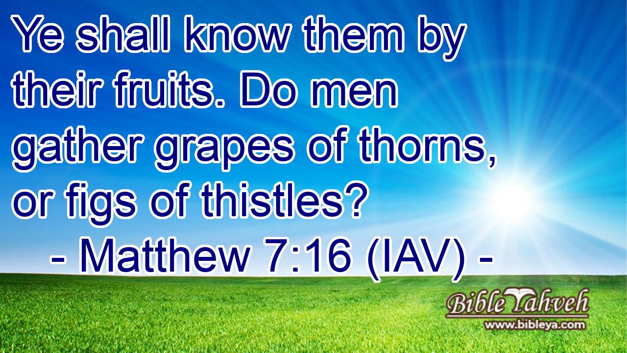  Ye shall know them by their fruits. Do men gather grapes of thorns, or figs of thistles?