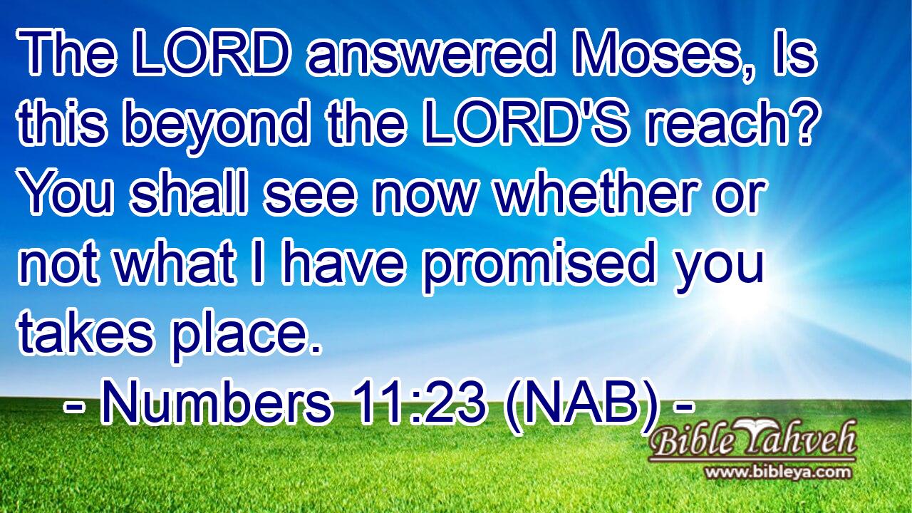  The LORD answered Moses, Is this beyond the LORD'S reach? You shall see now whether or not what I have promised you takes place.
