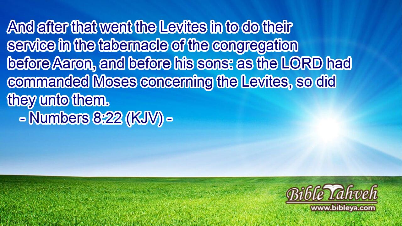 And after that went the Levites in to do their service in the tabernacle of the congregation before Aaron, and before his sons: as the LORD had commanded Moses concerning the Levites, so did they unto them.