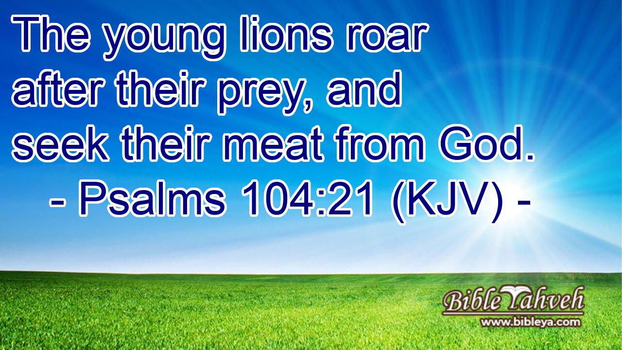 The young lions roar after their prey, and seek their meat from God.