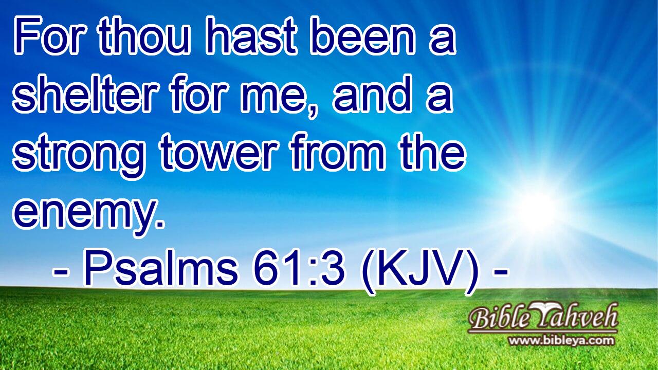 Psalms 61:3 (Kjv) - For Thou Hast Been A Shelter For Me, And A Stro...