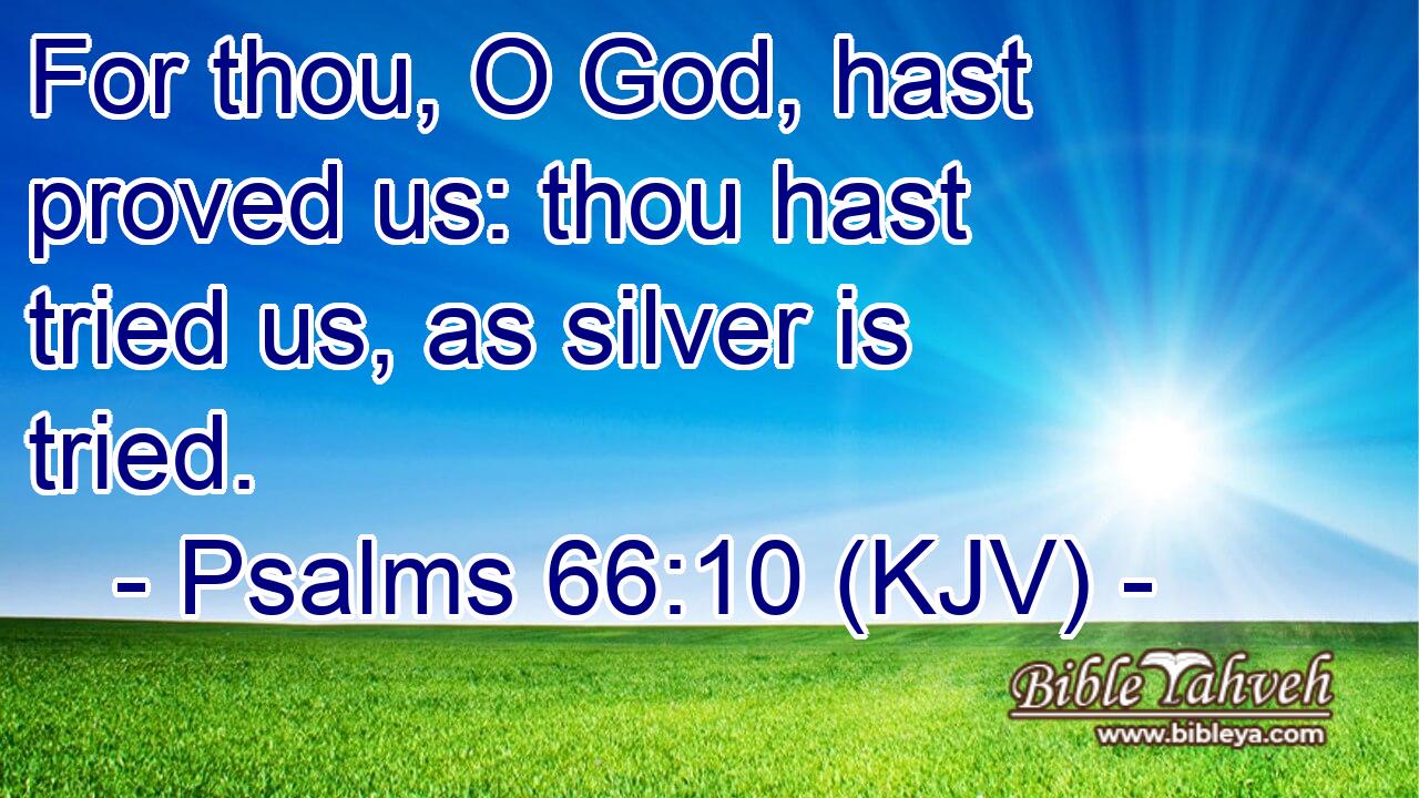 For thou, O God, hast proved us: thou hast tried us, as silver is tried.