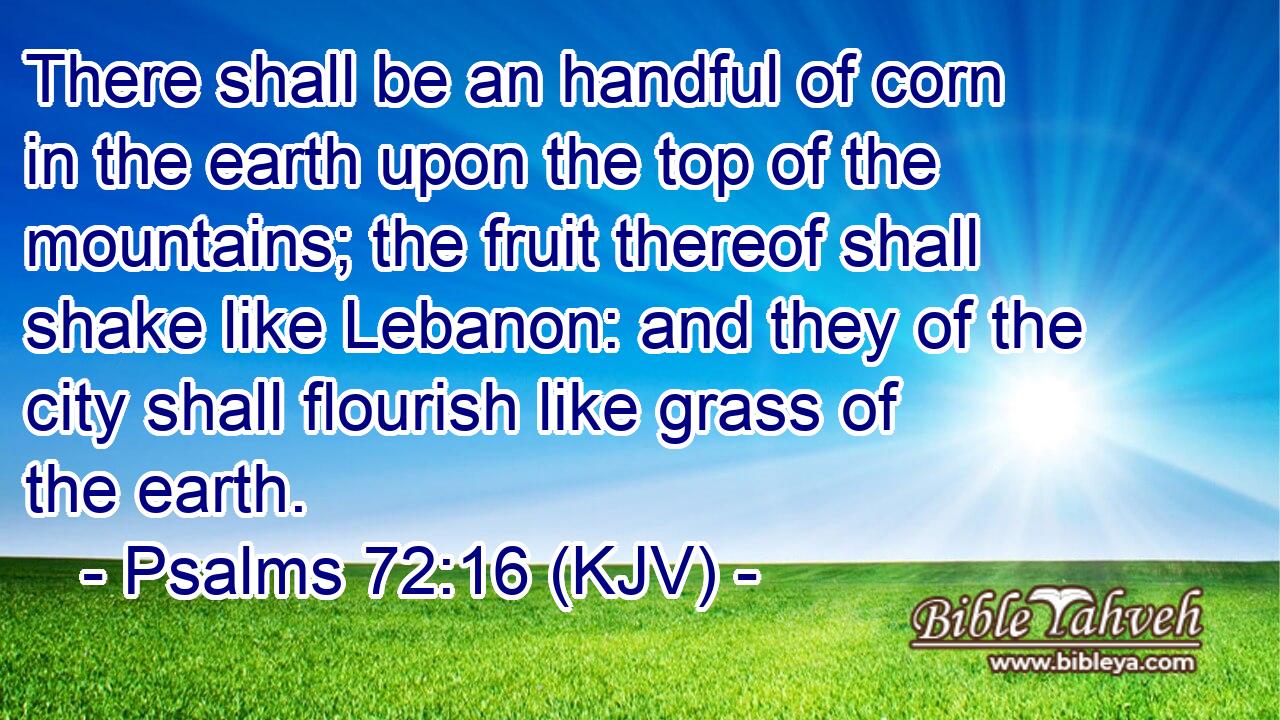 There shall be an handful of corn in the earth upon the top of the mountains; the fruit thereof shall shake like Lebanon: and they of the city shall flourish like grass of the earth.
