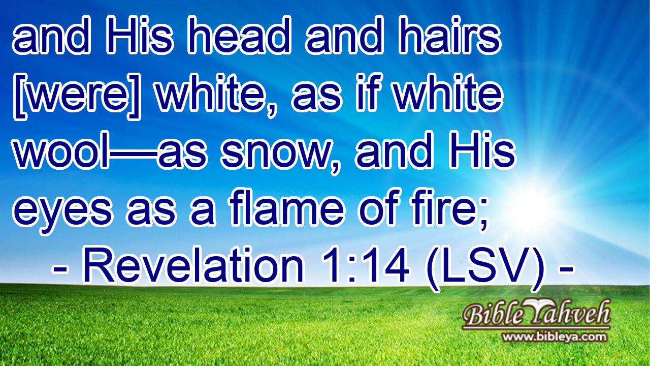 Revelation 1:14 (lsv) - and His head and hairs [were] white, as if ...