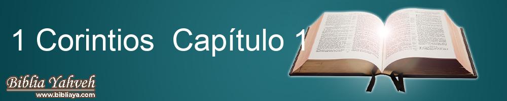 1 Corintios Capítulo 1 Nueva Biblia Latinoamericana de hoy