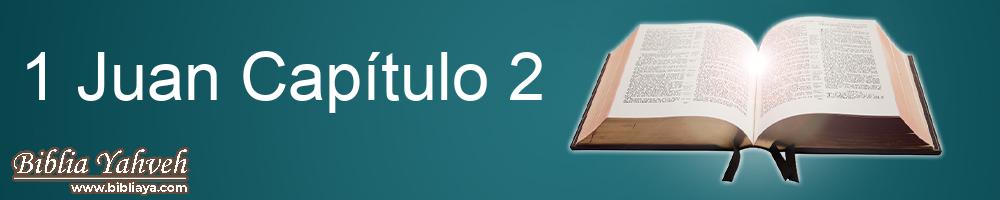 1 JuanCapítulo 2 Nueva Biblia Latinoamericana de hoy