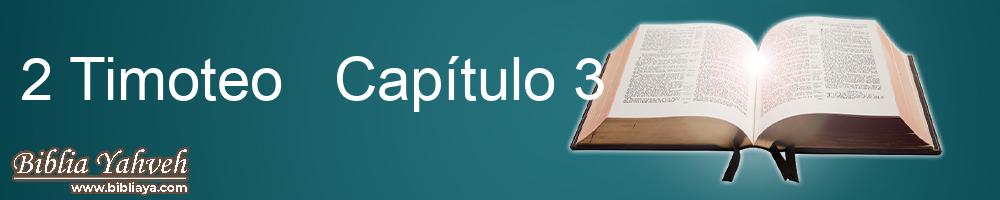 2 Timoteo  Capítulo 3 Nueva Biblia Latinoamericana de hoy