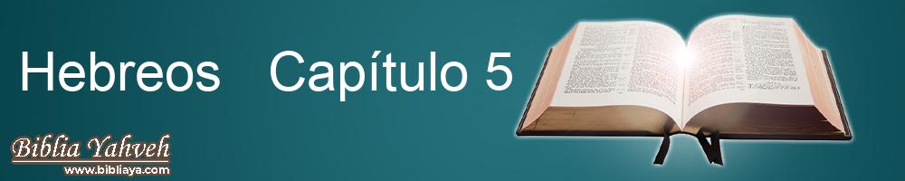 Hebreos  Capítulo 5 Nueva Biblia Latinoamericana de hoy