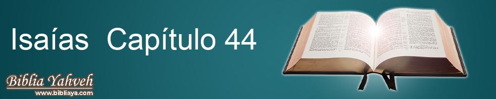Isaías Capítulo 44 Nueva Biblia Latinoamericana de hoy