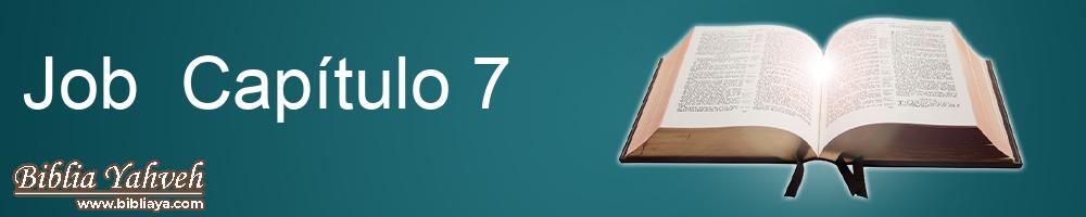 Job Capítulo 7 Biblia Nueva Versión Internacional