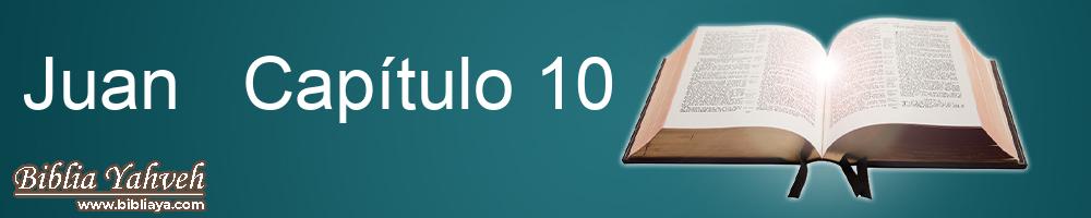 Juan  Capítulo 10 Biblia Reina Valera (1960)