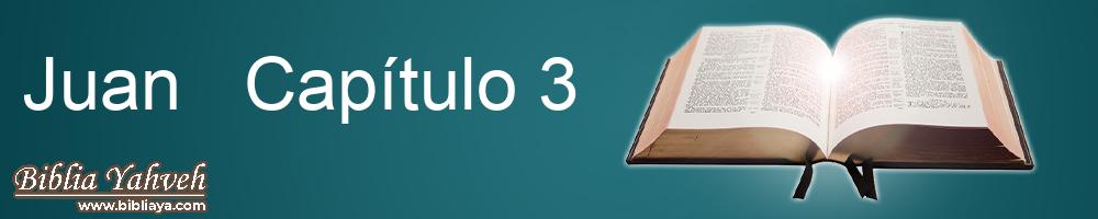 Juan  Capítulo 3 Nueva Biblia Latinoamericana de hoy