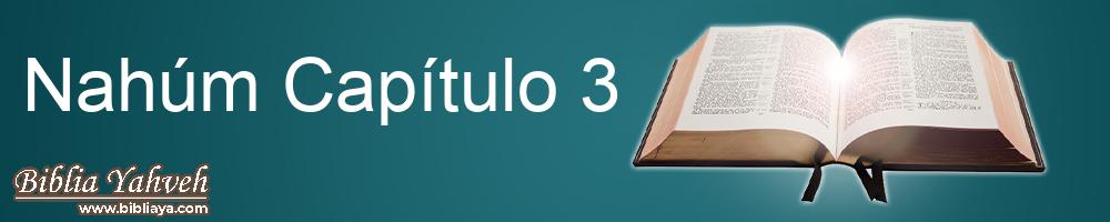 NahúmCapítulo 3 Nueva Biblia Latinoamericana de hoy