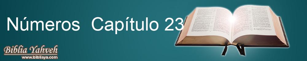 Números Capítulo 23 Biblia de Oro (Torres Amat)