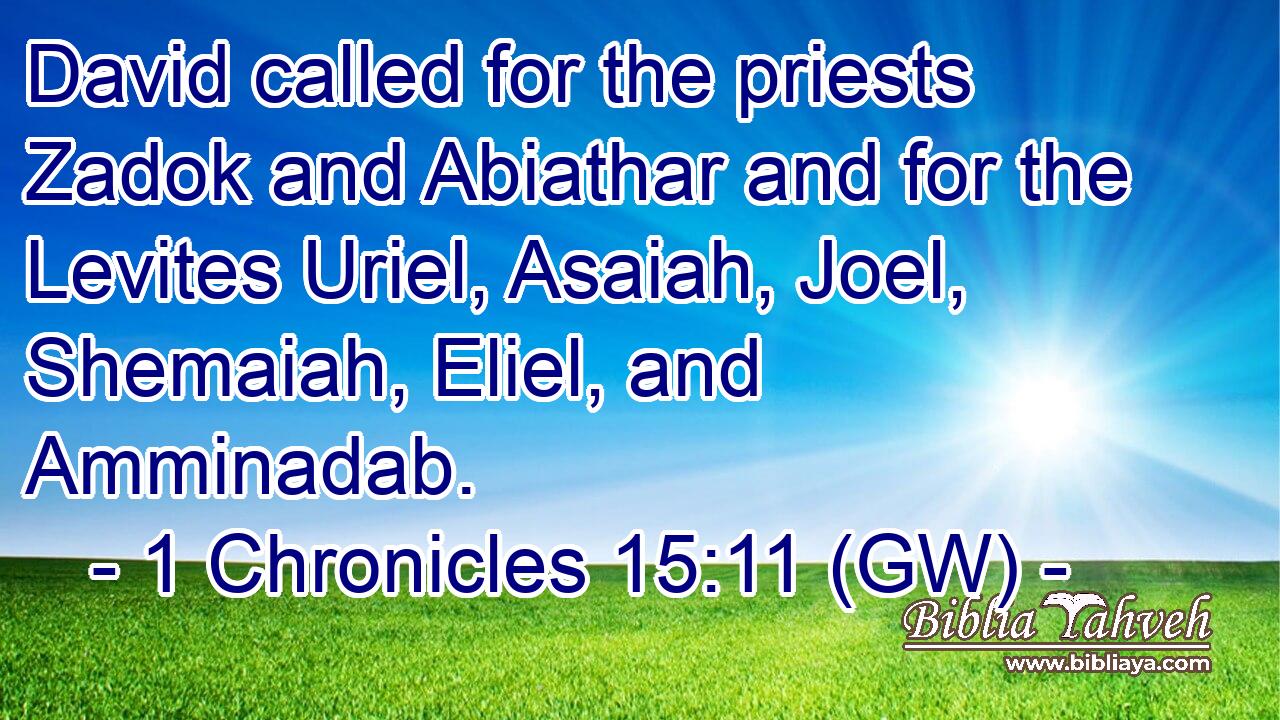  David called for the priests Zadok and Abiathar and for the Levites Uriel, Asaiah, Joel, Shemaiah, Eliel, and Amminadab.