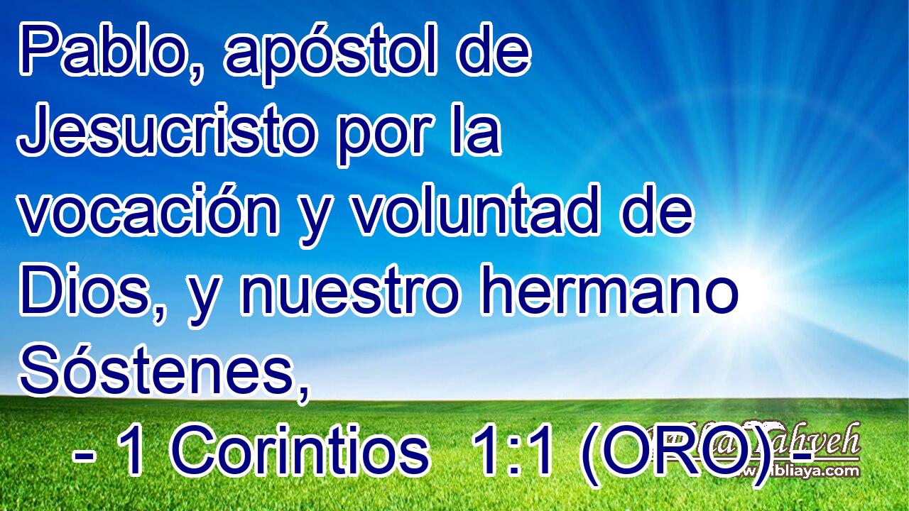  Pablo, apóstol de Jesucristo por la vocación y voluntad de Dios, y nuestro hermano Sóstenes, 