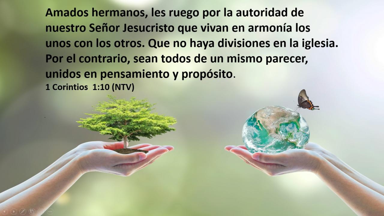 Amados hermanos, les ruego por la autoridad de nuestro Señor Jesucristo que vivan en armonía los unos con los otros. Que no haya divisiones en la iglesia. Por el contrario, sean todos de un mismo parecer, unidos en pensamiento y propósito.