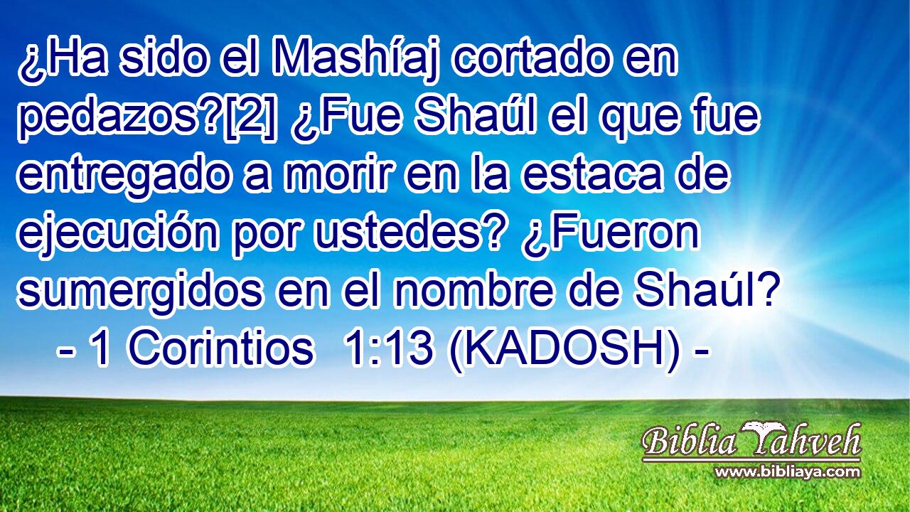  ¿Ha sido el Mashíaj cortado en pedazos?[2] ¿Fue Shaúl el que fue entregado a morir en la estaca de ejecución por ustedes? ¿Fueron sumergidos en el nombre de Shaúl? 