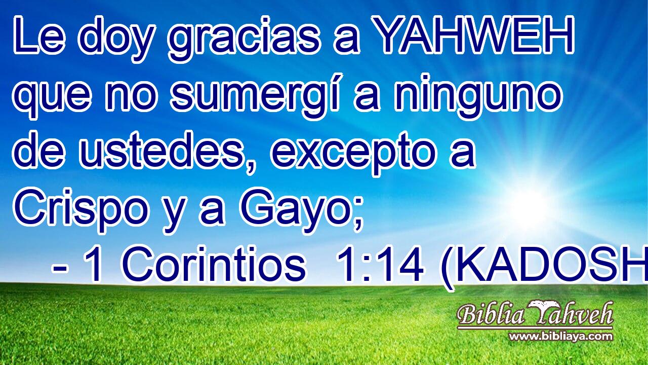 Le doy gracias a YAHWEH que no sumergí a ninguno de ustedes, excepto a Crispo y a Gayo; 