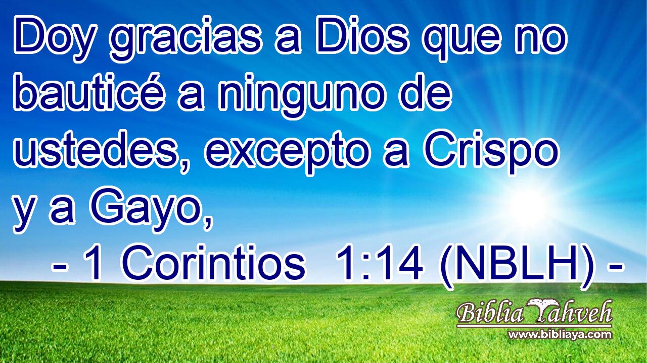  Doy gracias a Dios que no bauticé a ninguno de ustedes, excepto a Crispo y a Gayo, 