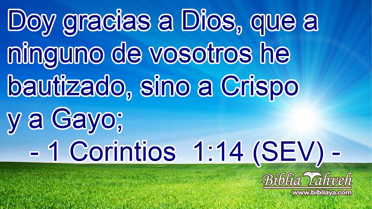 Doy gracias a Dios, que a ninguno de vosotros he bautizado, sino a Crispo y a Gayo;