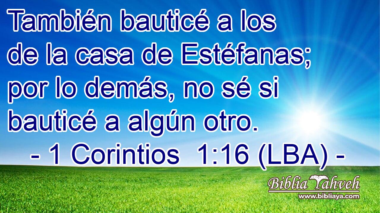 También bauticé a los de la casa de Estéfanas; por lo demás, no sé si bauticé a algún otro.