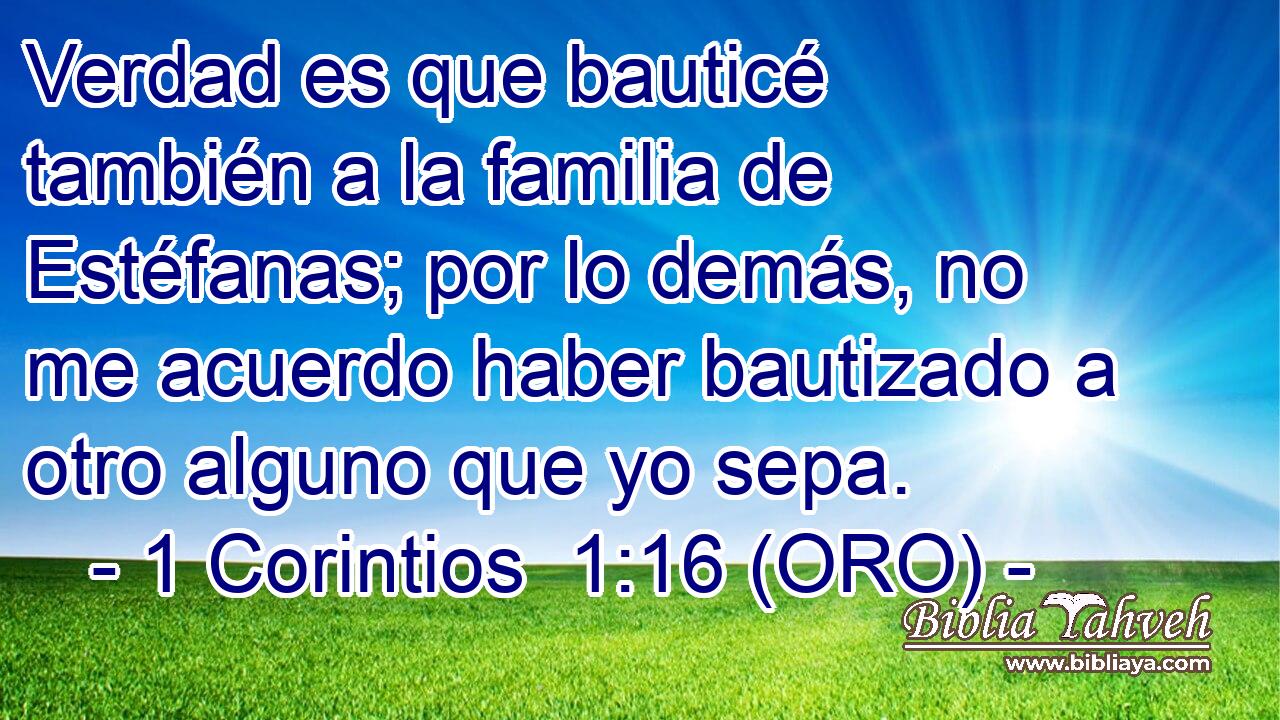  Verdad es que bauticé también a la familia de Estéfanas; por lo demás, no me acuerdo haber bautizado a otro alguno que yo sepa. 