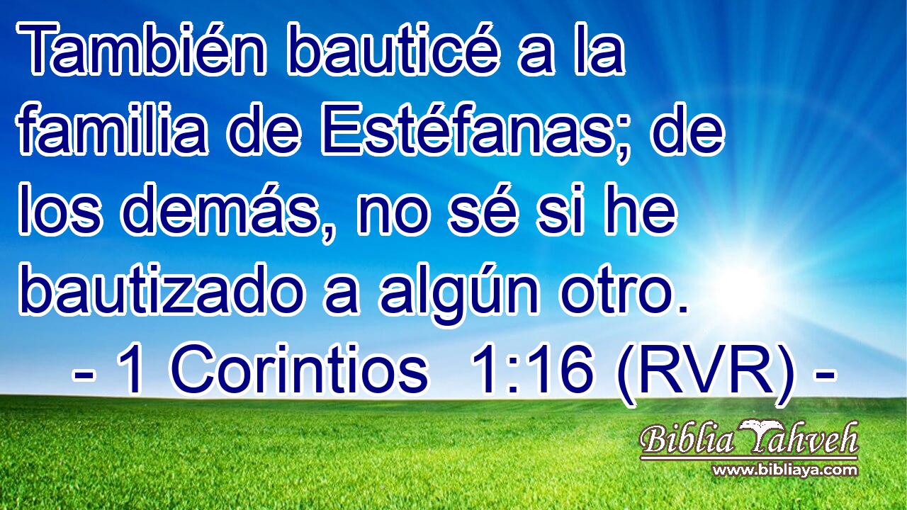 También bauticé a la familia de Estéfanas; de los demás, no sé si he bautizado a algún otro.