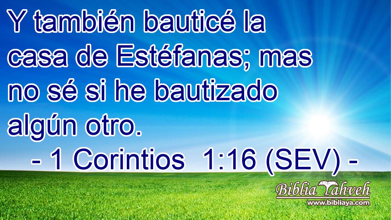 Y también bauticé la casa de Estéfanas; mas no sé si he bautizado algún otro.