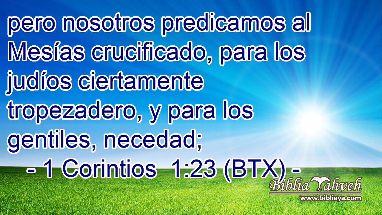 pero nosotros predicamos al Mesías crucificado, para los judíos ciertamente tropezadero, y para los gentiles, necedad;