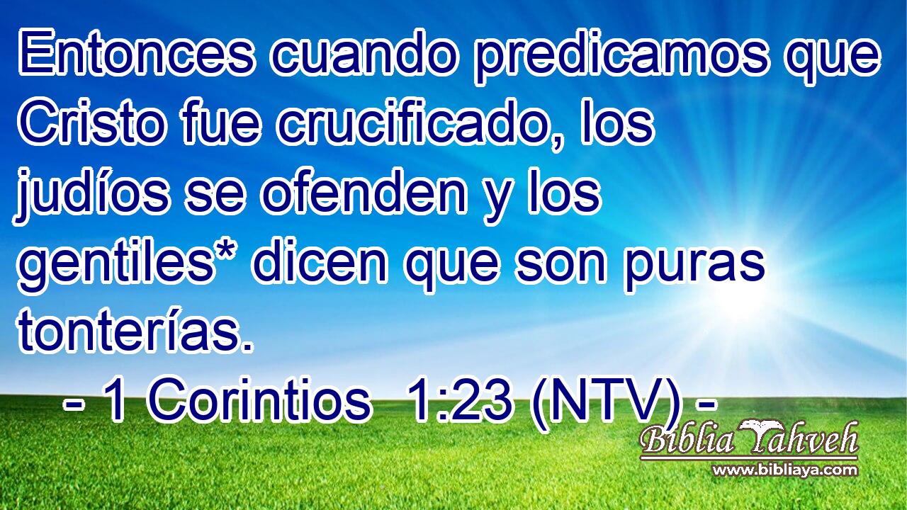 Entonces cuando predicamos que Cristo fue crucificado, los judíos se ofenden y los gentiles* dicen que son puras tonterías.