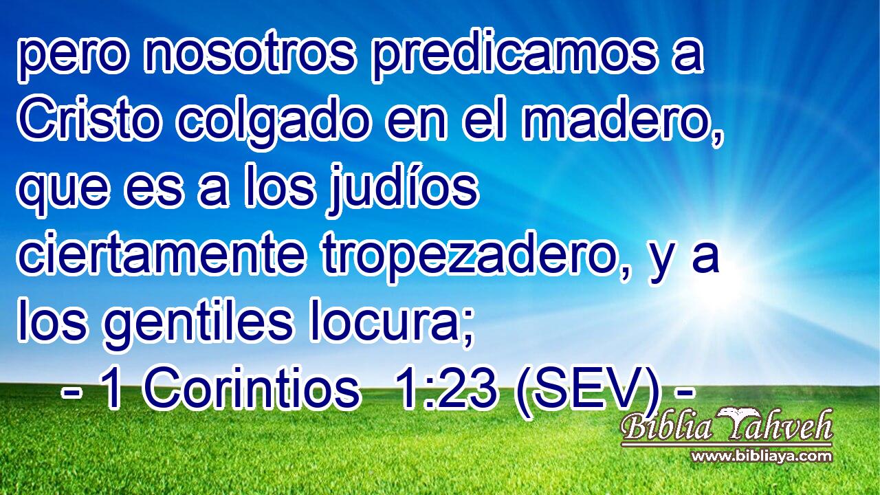 pero nosotros predicamos a Cristo colgado en el madero, que es a los judíos ciertamente tropezadero, y a los gentiles locura;